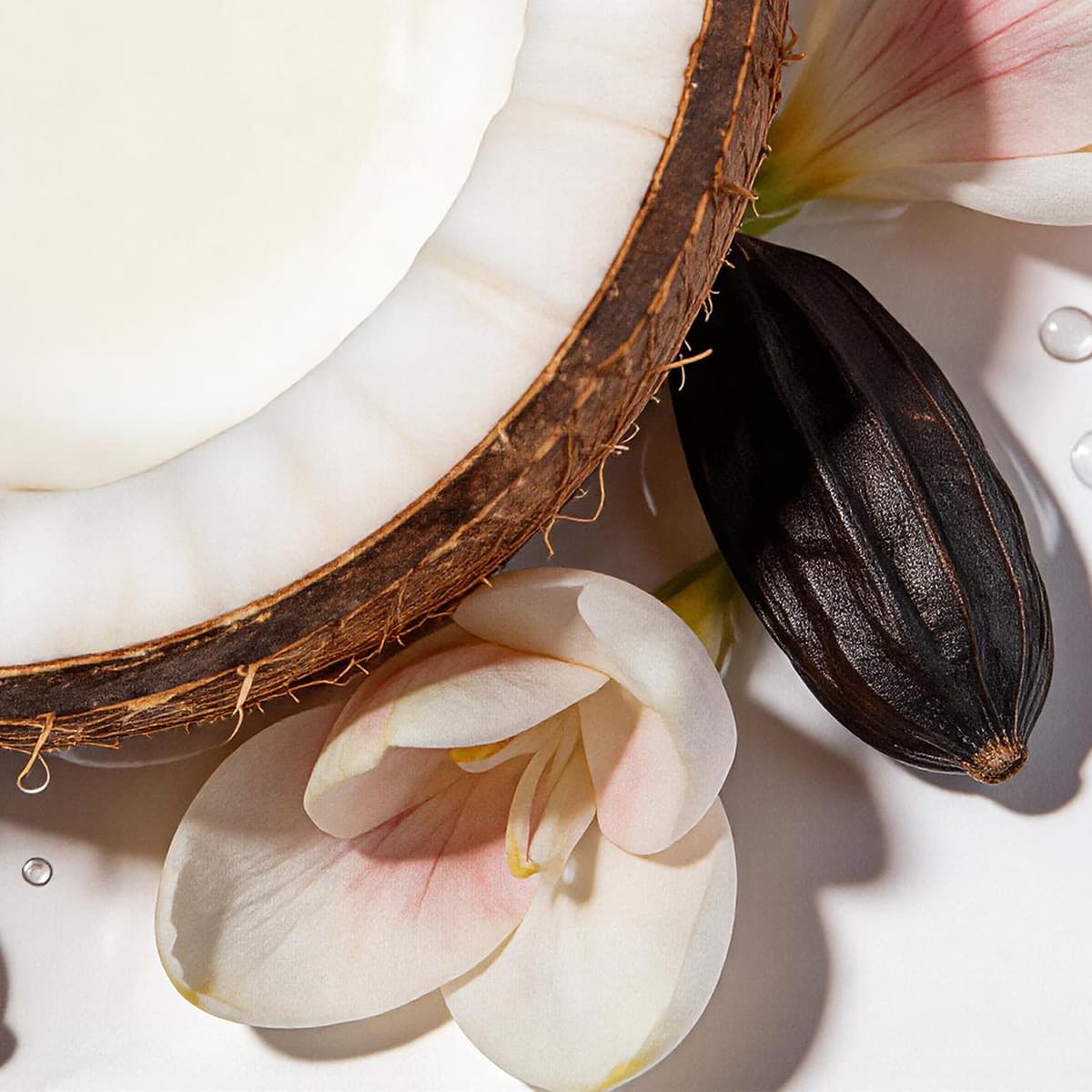 Island Coconut 1.2 oz-4Pack