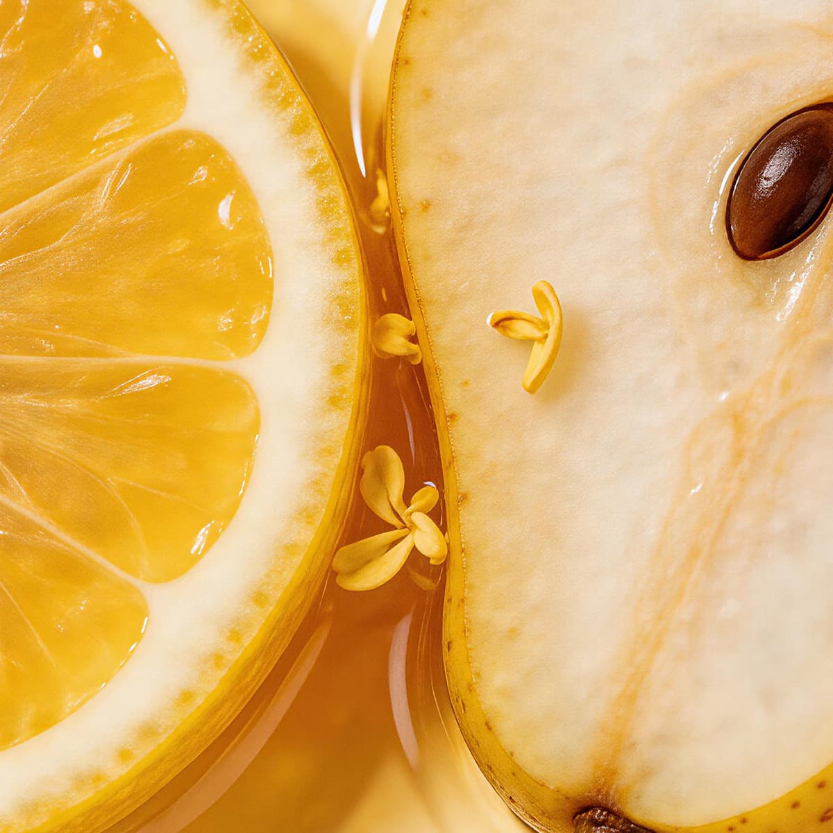 Golden Citrus 1.2 oz-4Pack