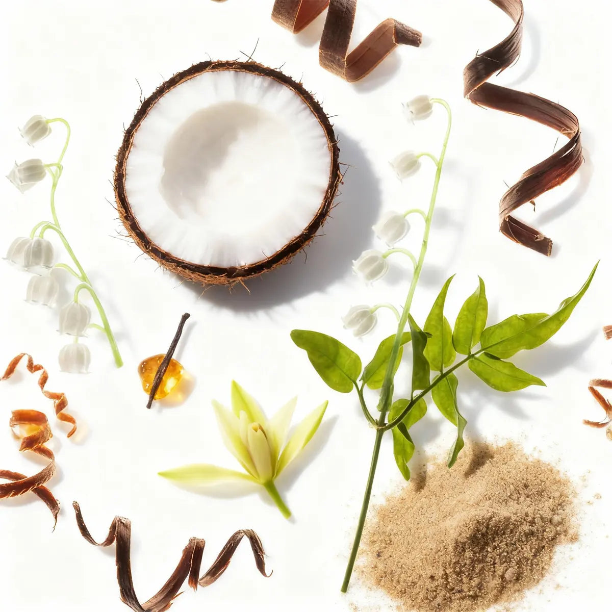 Coconut Cream 1.5 oz