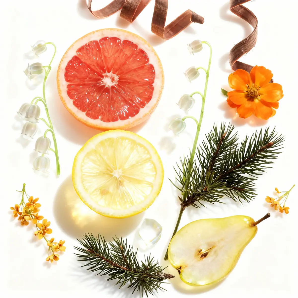 Salted Caramel + Golden Citrus 1.2 oz Gift Box
