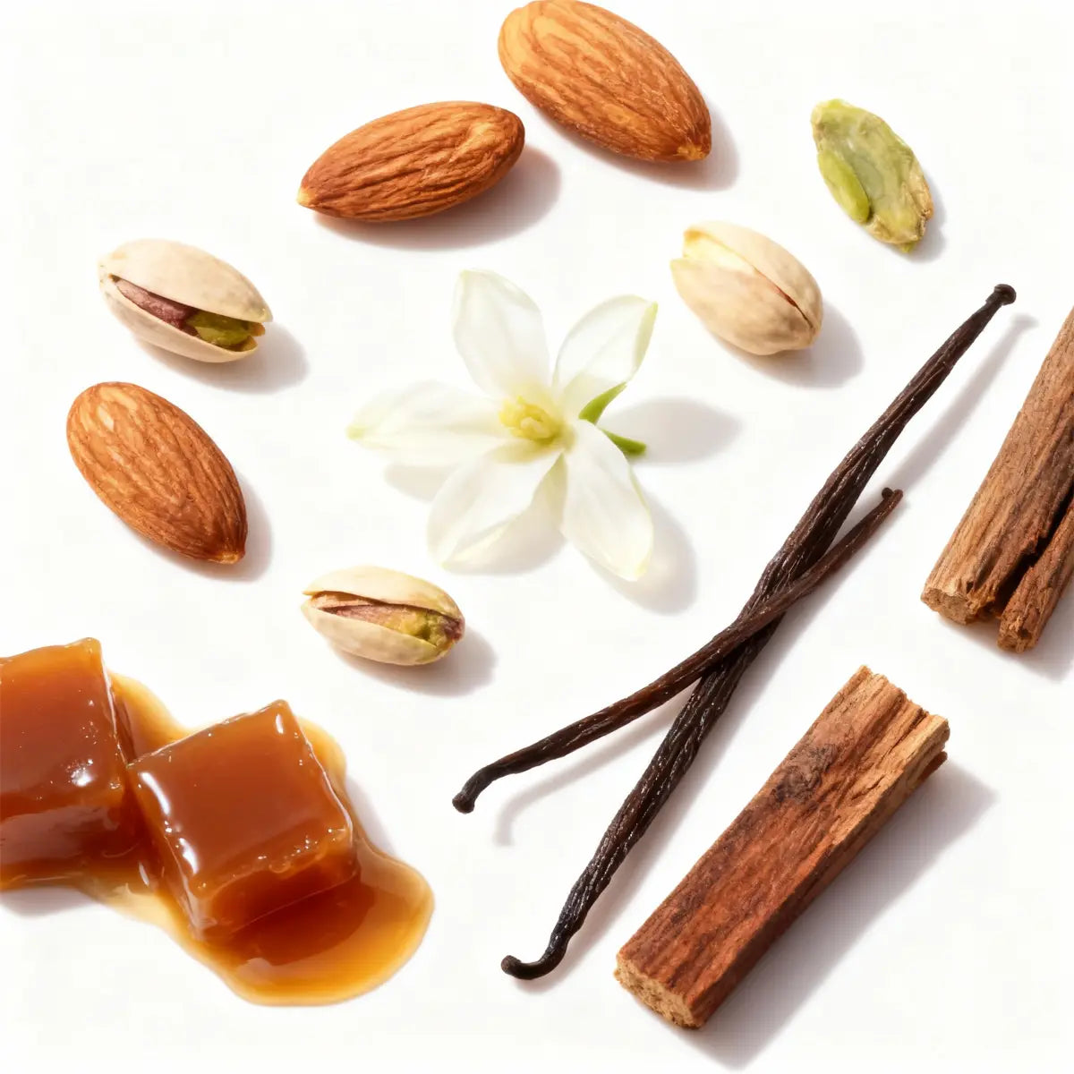 Salted Caramel + Golden Citrus 1.2 oz Gift Box